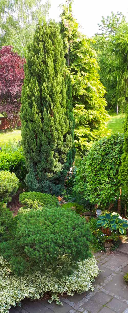 garten-hoch-1