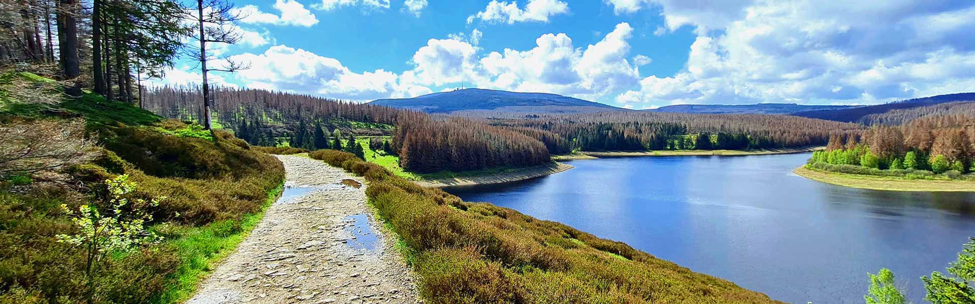 Brockenblick Panorama mit Blick auf den Brocken